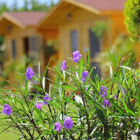 Anemo Hotel Guest house *