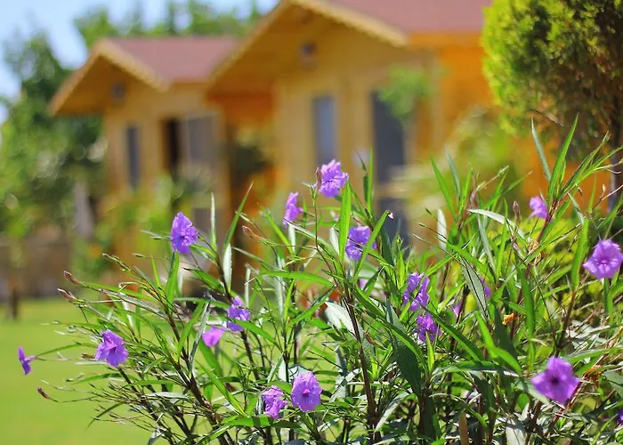 Anemo Hotel Penzion *